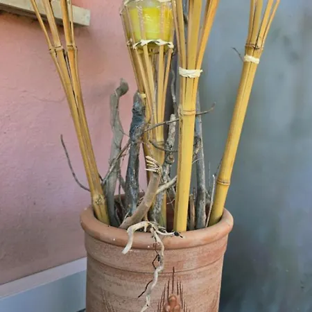 Casa Anna Maria Tatil Evi *